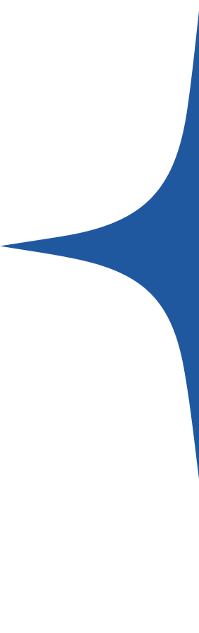 Vector (5) – Aurodia