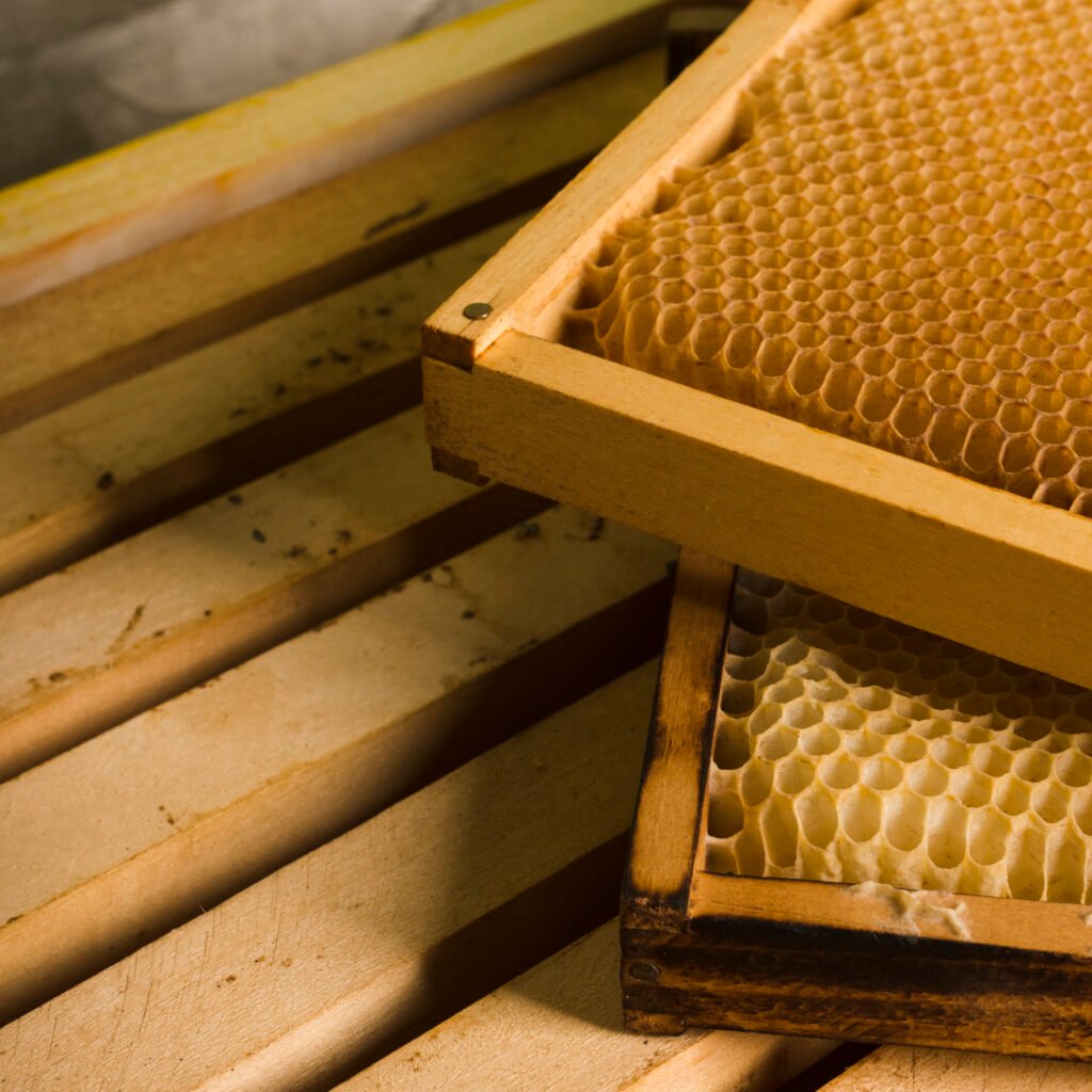 55bee07b68c84dc2f8226cab69e2943262ac20f3 – Aurodia